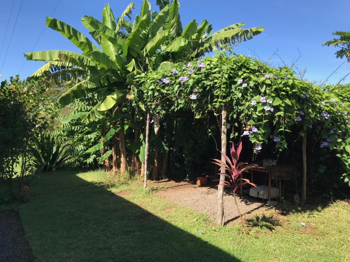 Les Hibiscus Villa Ambondrona  Eksteriør bilde